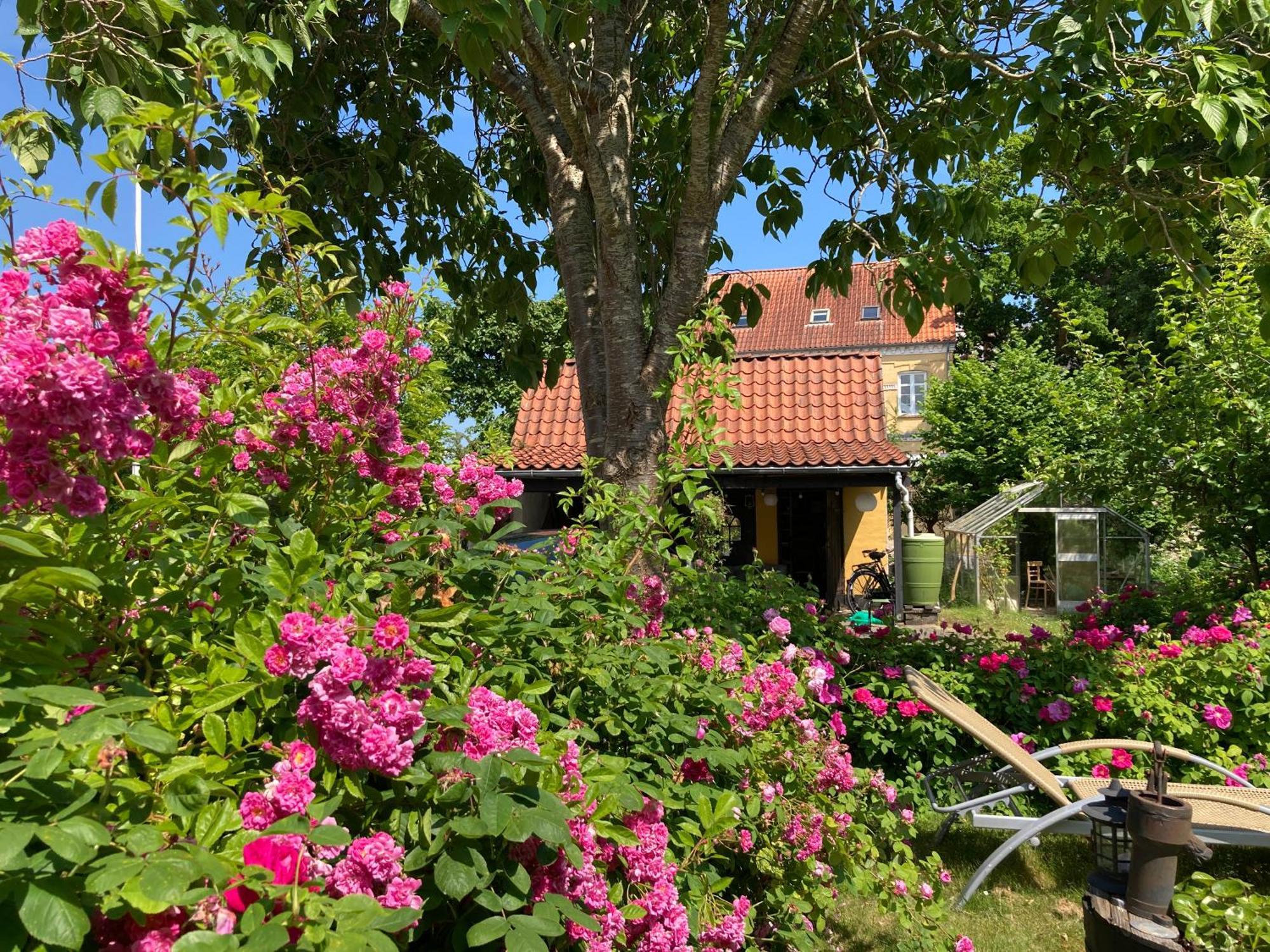 Den Gamle Skomager Hytte Ved Slotssoen Grasten Ngoại thất bức ảnh